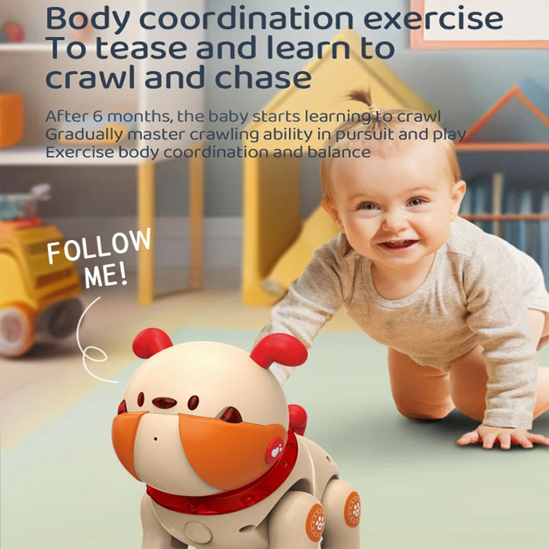 INTELLIGENT INTERACTIVE PROGRAMMABLE TOY