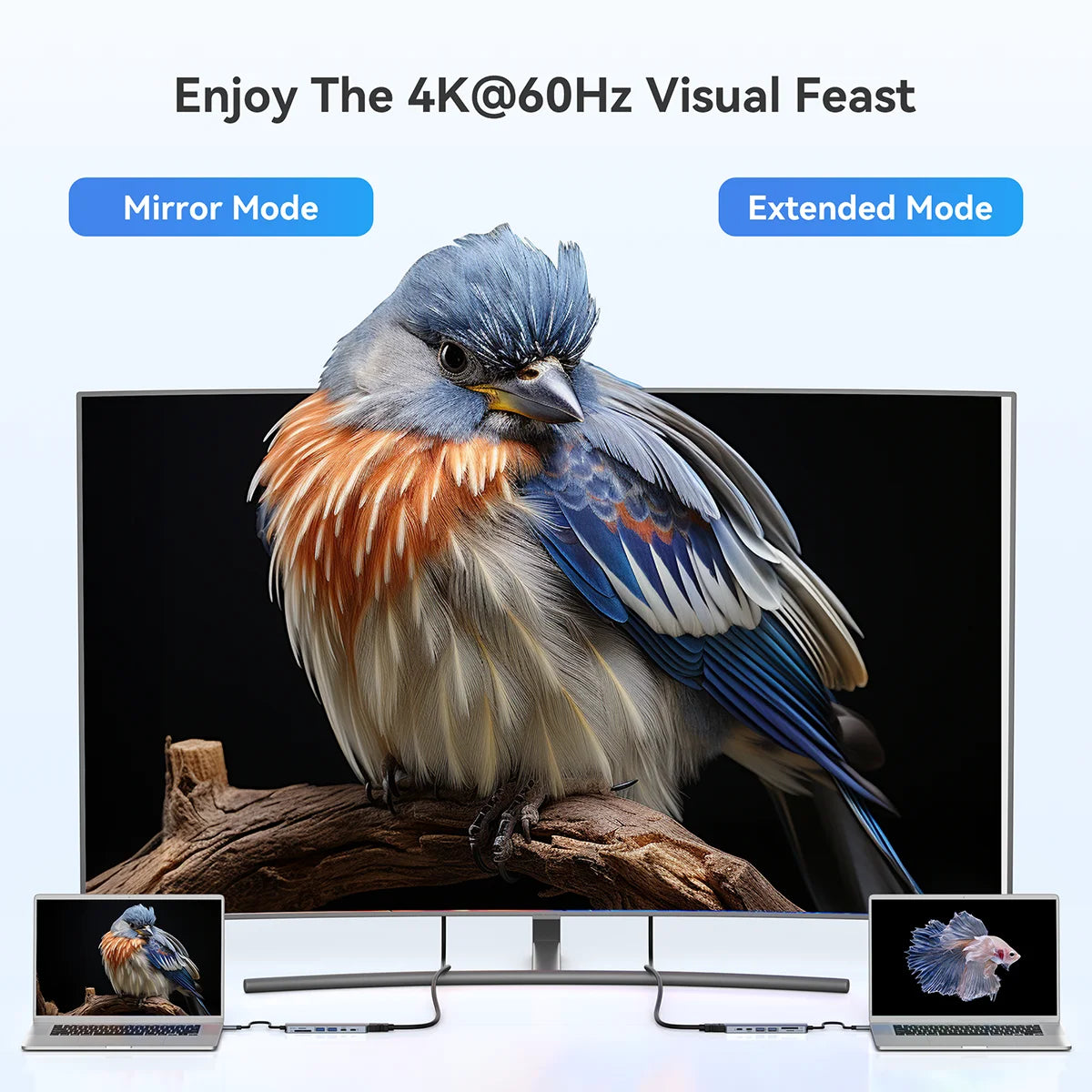 HDMI-compatibel / Card Reader